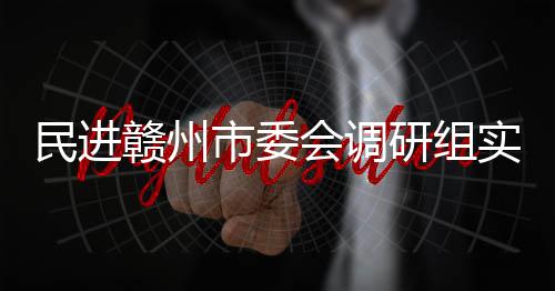 民进调研项目研组会调赣州赣州餐厨市委实地